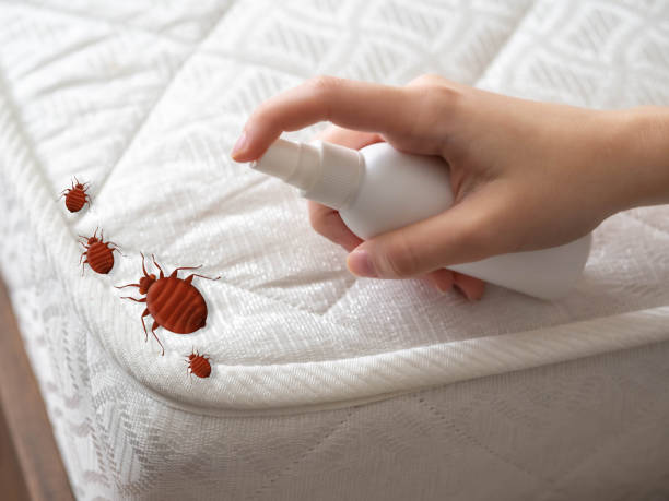 Emergency Pest Control Services in Mount Vernon, AL